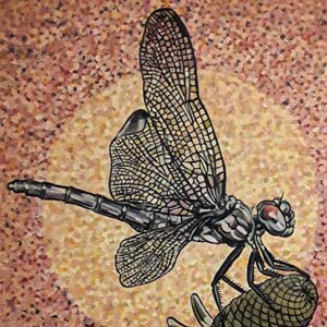 What is it Like to be a Dragonfly?